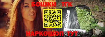тгк Камышлов