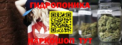 шишки Канаш