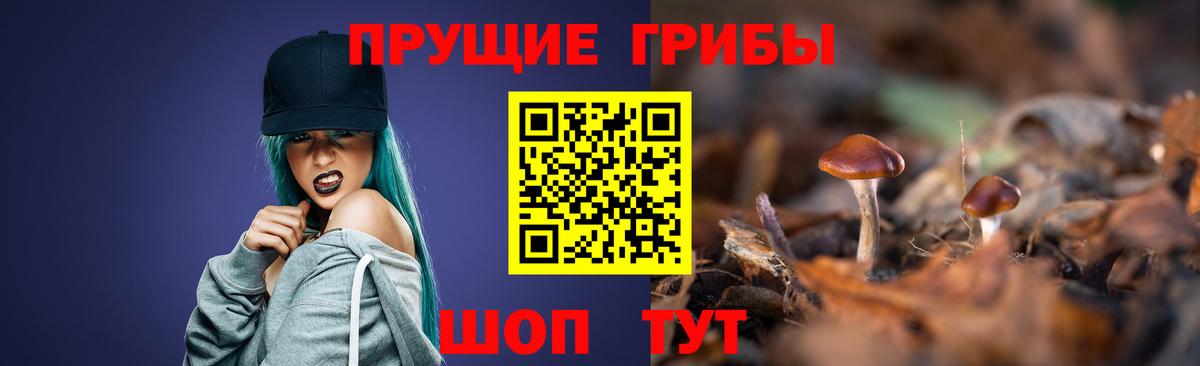 Чебаркуль  хочу   Вход с VPN  Псилоцибиновые грибы Psilocybe  Псилоцибиновые грибы мухоморы 